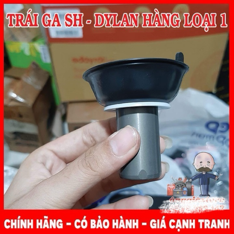 TRÁI GA DYLAN - PISTON GA SH - @ HÀNG TỐT