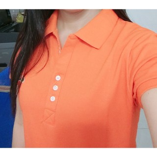 Áo thun có cổ NỮ Cao cấp Co giãn 4 chiều [BÁN GIÁ SỈ]