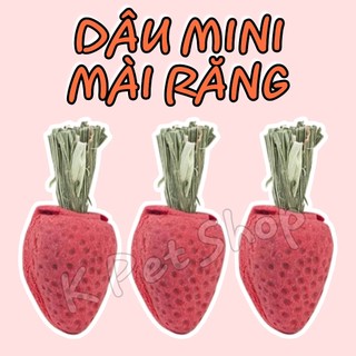 Dâu Mini - Cà Rốt Mini Trang Trí Mài Răng Cho Hamster, Sóc, Nhím, Thỏ, Bọ ...