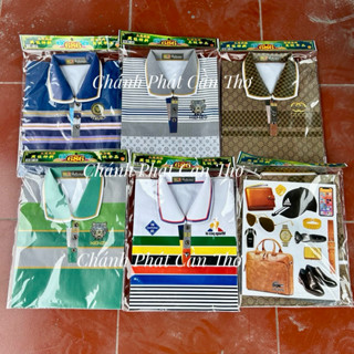 [Hàng Mã] Quần Giấy Áo Thun Polo Nam Sọc, Áo Thun Cá Sấu Cổ Rời Cao Cấp