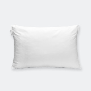 Ruột Gối Nằm Everon Classic Chính Hãng Size 45x65cm, Chống Khuẩn, Hút Chân Không, Độ Cứng Vừa Phải