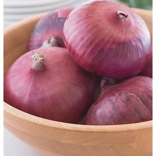 Hạt giống hành tây đỏ - Shop hạt giống Tạ Gia Trang