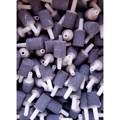 Cục Sủi Taiwan mini cho hồ cá