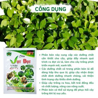 Phân Bón Lá Siêu Vọt Đọt , Cung Cấp Dinh Dưỡng Nhanh, Tăng Trưởng Mạnh - Gói 100G