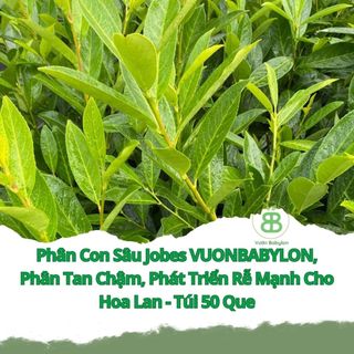 Phân Bón Lá Siêu Vọt Đọt , Cung Cấp Dinh Dưỡng Nhanh, Tăng Trưởng Mạnh - Gói 100G