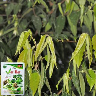 Phân Bón Lá Siêu Vọt Đọt , Cung Cấp Dinh Dưỡng Nhanh, Tăng Trưởng Mạnh - Gói 100G