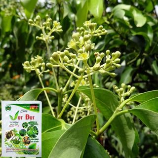 Phân Bón Lá Siêu Vọt Đọt , Cung Cấp Dinh Dưỡng Nhanh, Tăng Trưởng Mạnh - Gói 100G