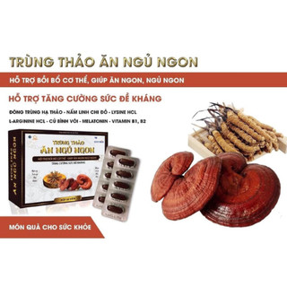 Trùng Thảo Ăn Ngủ Ngon -Bồi Bổ Sức Khoẻ, Giúp Ăn Ngon,Ngủ Ngon