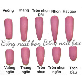 Nail box thiết kế móng úp ( HOẢ TỐC HCM ) B07