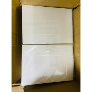 Giấy ép Plastic khổ A3 (310x426) 80 Mic