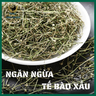 Bạch Hoa Xà 100g | Loại 1 - Bạch Hoa Xà Thiệt Thảo Kết Hợp Bán Chi Liên, Hỗ Trợ Ngăn Ngừa Tế Bào Xấu