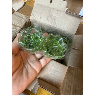 Hộp 12 cốc nến gel bày bàn thờ, mâm lễ thôi nôi