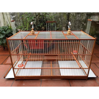 Khung lồng tập lực chào mào, chích chòe tự ráp gỗ nan cáp quang dài 60cm,80cm (ráp sẵn 6 mặt) chất liệu gỗ sến bền đẹp