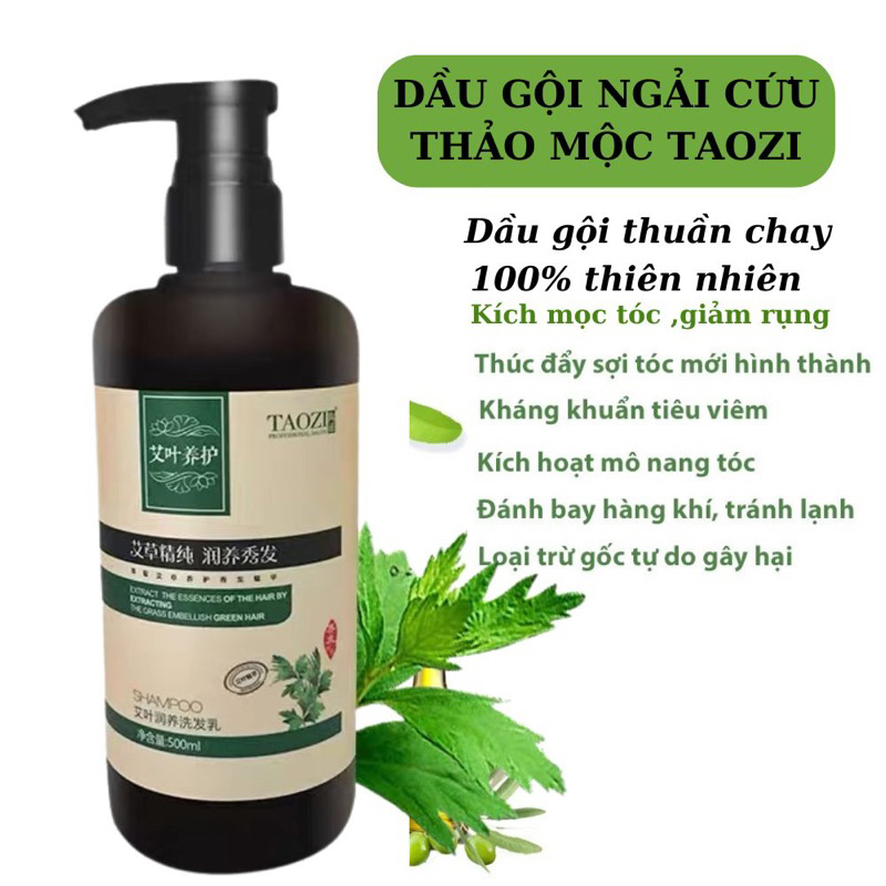 Dầu Gội Xả Thảo Mộc Ngải Cứu TAOZI Cao Cấp Giảm Gàu Kiểm Soát Dầu, Giảm Rụng,Kích Mọc Tóc-Nuôi Dưỡng Phục Hồi Tóc 500ML