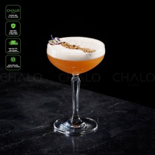 Ly cocktail thủy tinh Ocean Connexion Martini & Coupe 215ml - 1527C07 - 1527S07 (Chính hãng, Made in Thailand)