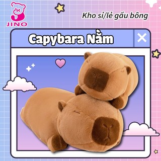  Gối ôm thú nhồi bông hình chuột Capybara nằm đáng yêu siêu mềm mượt 