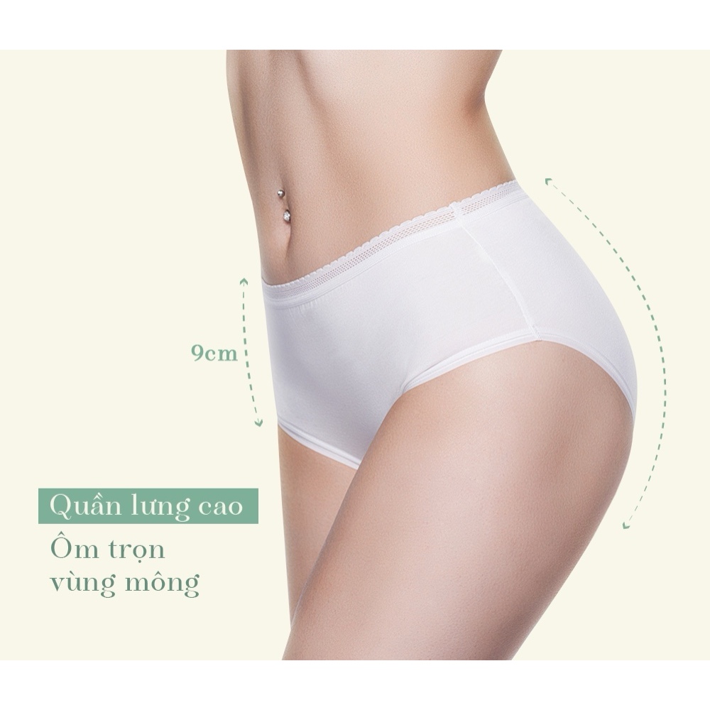 Quần Lót BSCS6002 Thun Cotton Lưng Cao