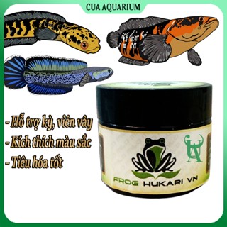 Thức ăn cám kích màu cho cá lóc Frog Hukari (Vẩy Rồng, Nữ Hoàng, Vây Xanh,...)
