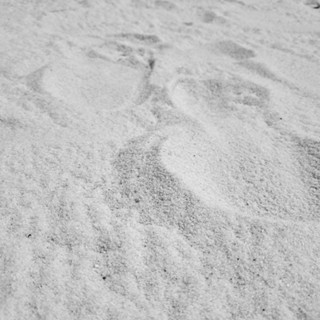 [50 kg][Hỏa Tốc]Cát Trắng Thiên Nhiên Cho Gà,Ốc Mượn Hồn,Mèo..vv