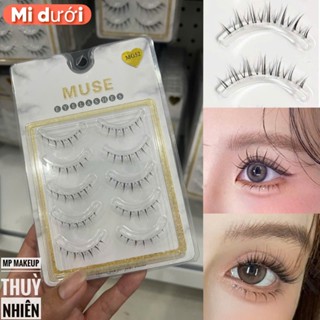  Lông mi giả - Mi Muse gân trong - MG52  Mi dưới   
