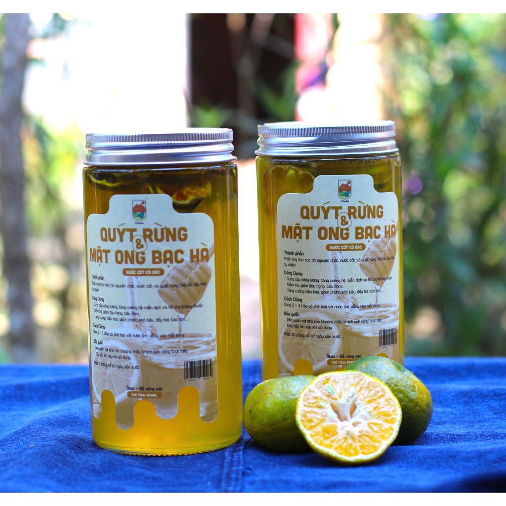 Cốt Mật Ong Bạc Hà Và Quả Quýt Rừng Cô Đặc