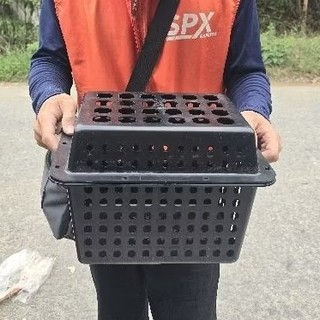 Hộp nhựa nuôi cua biển  (combo 10 cái hàng loại 1 )