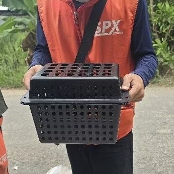 lồng nuôi cua biển hộp nuôi cua (hàng loại 1 nhựa tốt)