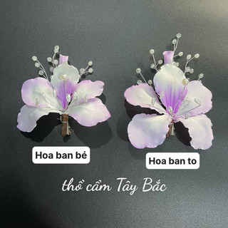 Hoa ban cài tóc