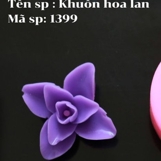 Khuôn silicon hoa lan 1399