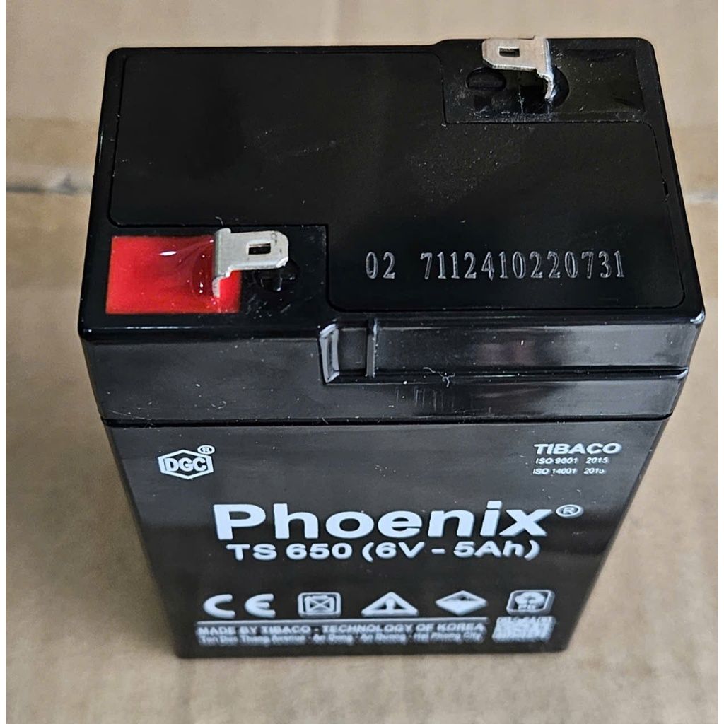 Ắc Quy 6V-5Ah dùng cho cân điện tử, quạt sạc, xe điện trẻ em Phoenix TS650 5Ah-6V
