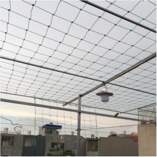 10M 20M Lưới làm giàn leo, dây leo giàn bầu bí - Màu trắng - Khổ 2M 3M 4M