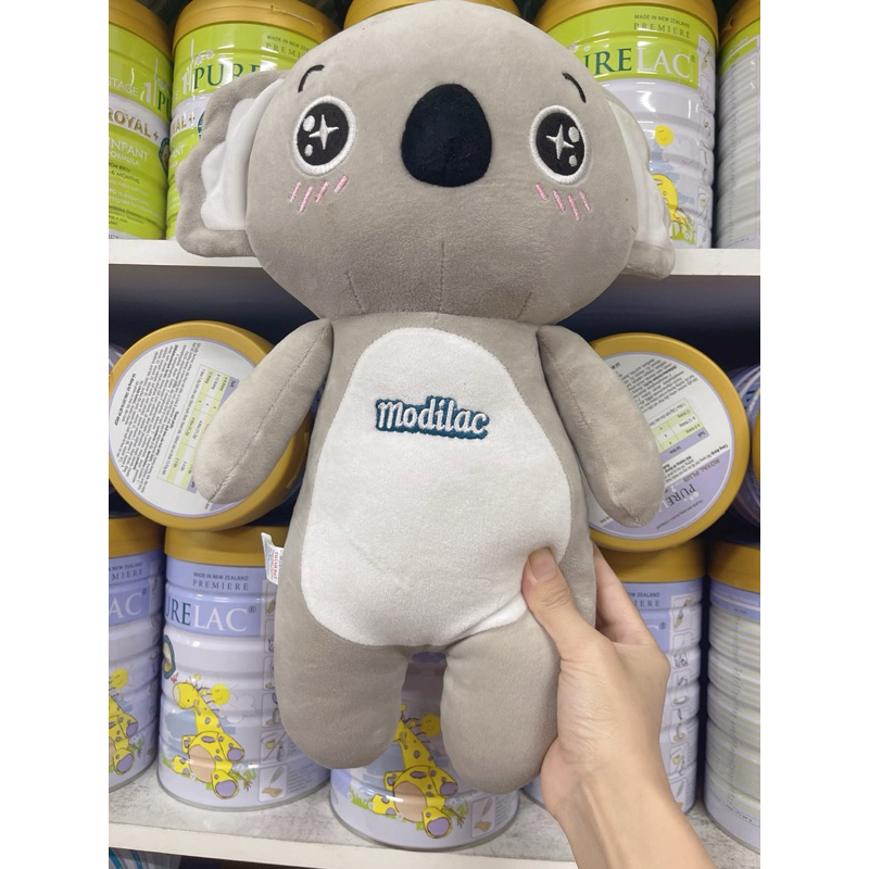 gấu bông kolla quà khuyến mại sữa modilac