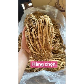 Sâm Đương Quy Khô Từ 1KG thơm mới sạch thơm