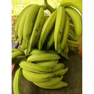 plantains/Chuối táo quạ/chuối khổng lồ/giant banana
