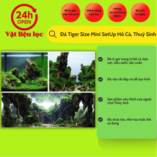 Đá Tiger Size Mini SetUp Hồ Cá, Thuỷ Sinh