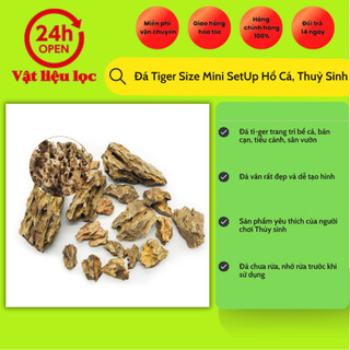 Đá Tiger Size Mini SetUp Hồ Cá, Thuỷ Sinh