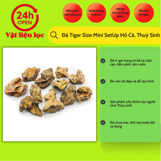Đá Tiger Size Mini SetUp Hồ Cá, Thuỷ Sinh