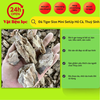 Đá Tiger Size Mini SetUp Hồ Cá, Thuỷ Sinh
