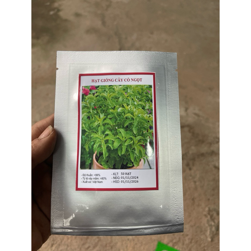 Hạt giống cỏ ngọt - cây giống cỏ ngọt