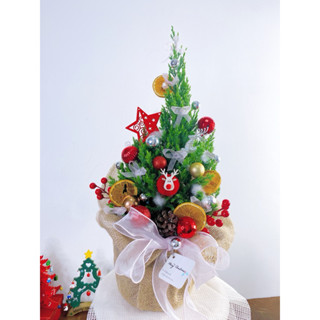 [HỎA TỐC] Cây Thông Noel - Đã Trang Trí Sẵn - Để Bàn -Trang Trí Giáng Sinh - Sơn Tùng (cây thật)