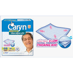 Tấm đệm lót Caryn( đủ kích cỡ)