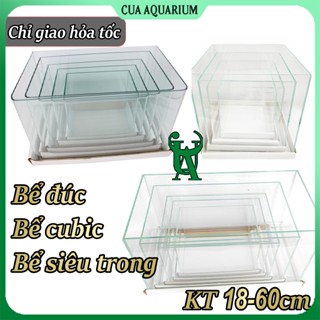 Hồ cá mini | Hồ siêu trong | Hồ đúc | Hồ cubic | Bể cá thuỷ sinh