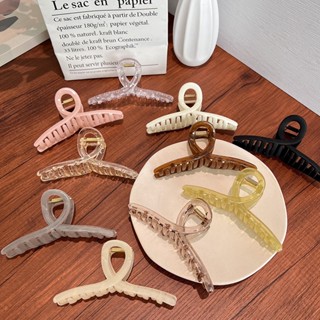  Kẹp càng cua dài trong suốt hình xoắn cho nữ 