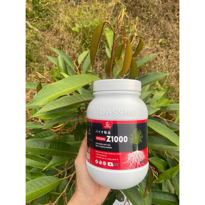 Dashu Z1000 - SIÊU KÍCH RỄ & ĐI ĐỌT