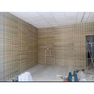 MÀNH CỌ TRANG TRÍ TẾT 🧧 -DECOR