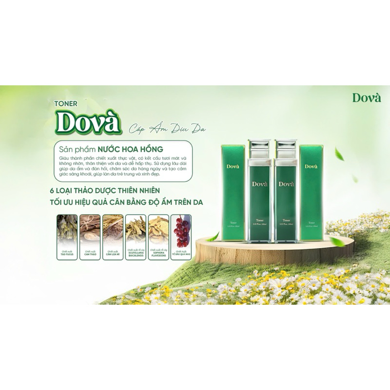 toner tinh chất hoa hồng dova