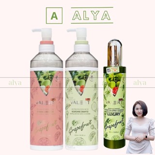 Cặp dầu gội xả BƯỞI Grapefruit Valert giúp nhanh mọc Tóc, Nuôi Dưỡng Giảm Rụng Tóc 2021. HÀNG CHÍNH HÃNG ALYA
