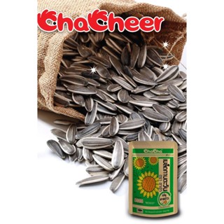 Combo Hạt Hướng Dương CHACHA Vị Dừa 180g
