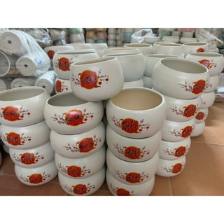  Chậu gốm sứ hoa đào trồng cây trang trí để bàn mẫu chữ đa dạng 