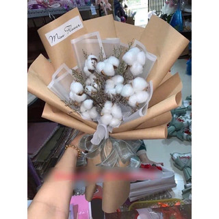 Bó hoa bông gòn hàn quốc